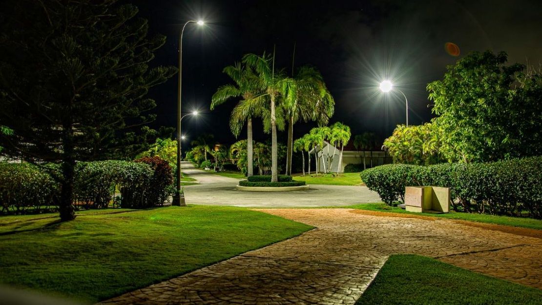 Cocotal nocturno
